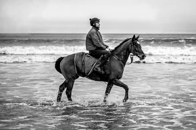 Philp Kirby trots 2020 North Yorkshire Grand National winner Little Bruce in the sea off Redcar. Photo: Megan Dent.