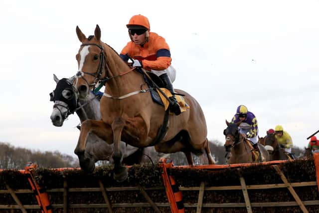 Sam Spinner has been handed a Stayers' Hurdle entry at the Cheltenham Festival by Jedd O'Keeffe.