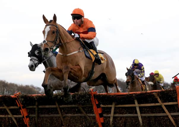 Sam Spinner has been handed a Stayers' Hurdle entry at the Cheltenham Festival by Jedd O'Keeffe.