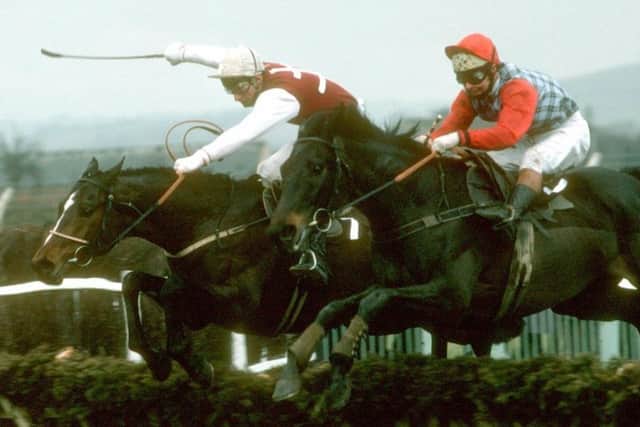 The motionless Jonjo O'Neill and Sea Pigeon surge past Monksfield in the 1980 Champion Hurdle.