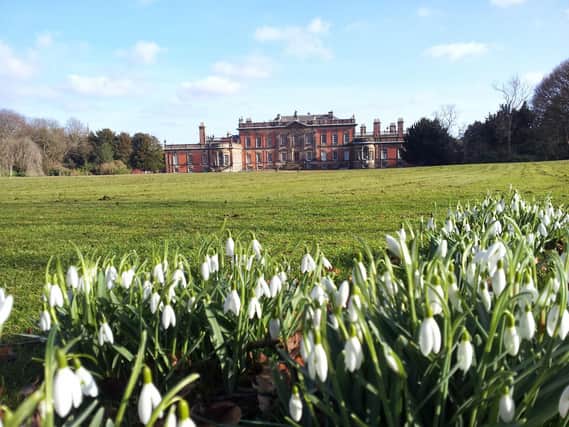 Snowdrops and the West Front of Wentworth Woodhouse