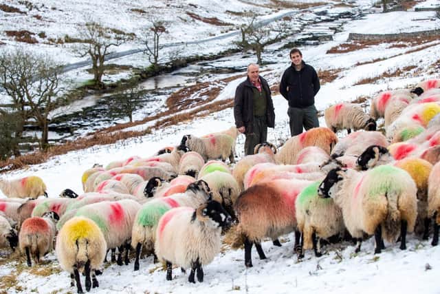 Stuart and Eddie Hird still farm sheep while Liz and David focus on the porridge and granola business