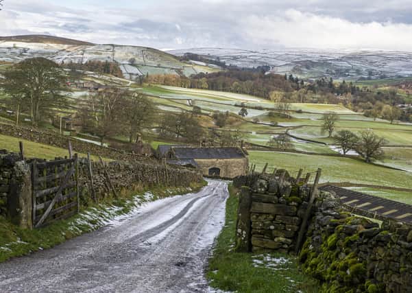 Should North Yorkshire councils be prioritising farming's future? Photo: Tony Johnson.