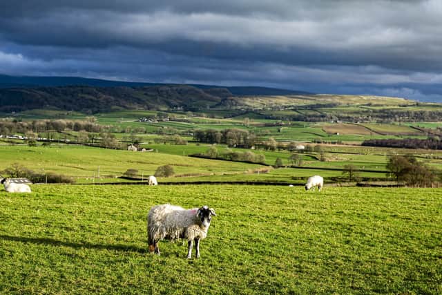 How should North Yorkshire leaders be supporting farming?