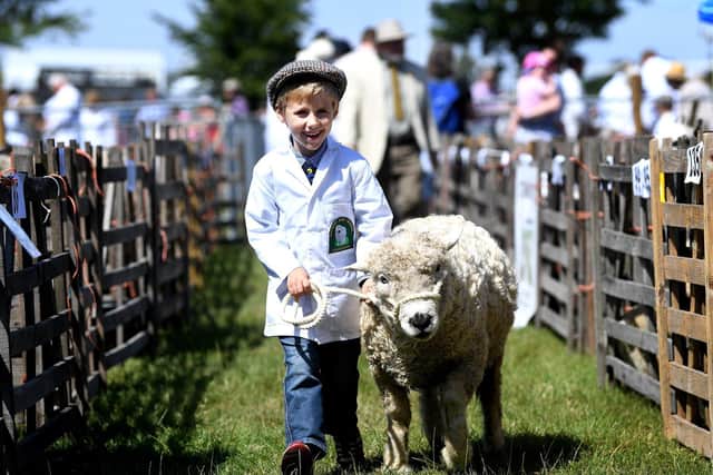 Driffield Show is one of the biggest one-day agricultural shows in the country Picture: Jonathan Gawthorpe