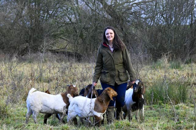 The goats are conservation grazing at Tophill Nature Reserve