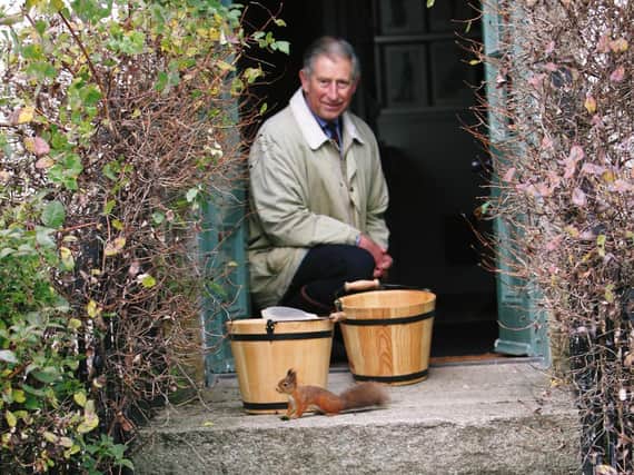 The Prince of Wales has sent a message of thanks to volunteers working to save native red squirrels.
