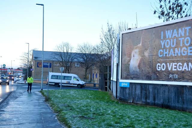Billboard put up in Bradford by animal welfare charity PETA urging residents to go vegan after survey reveals city is UK's 'least friendly' to be vegan