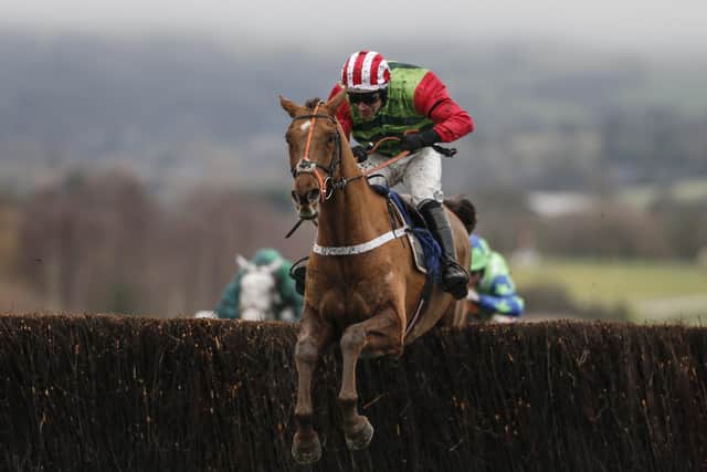 Stalwart: Brian Ellison's Definitly Red is also due to line up in the Town Moor contest. (Photo by Alan Crowhurst/Getty Images)