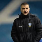 CARETAKER: Neil Thompson is in temporary charge of Sheffield Wednesday