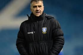 CARETAKER: Neil Thompson is in temporary charge of Sheffield Wednesday