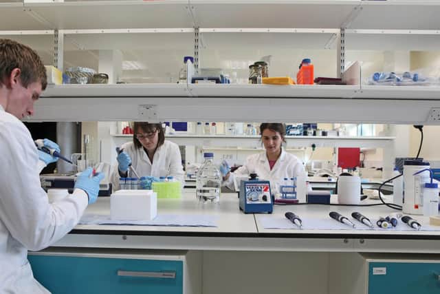 Pictured, researchers at the University of Sheffield’s Institute for Translational Neuroscience (SITraN). Photo credit: Submitted picture