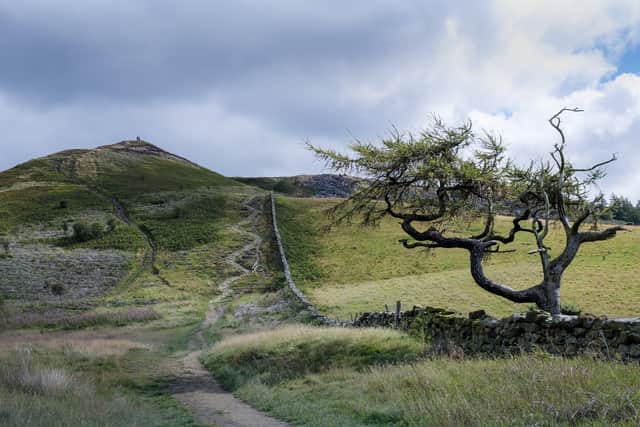 The footpath leading up Little Roseberry from Roseberry Topping in the North York Moors National Park as calls grow for a new Countryside Code. Photo: Ian Day.