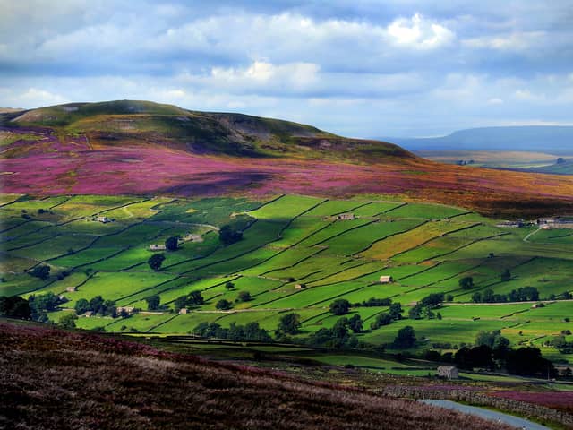 The Yorkhire Dales has been named as Europe's best natioinal park. Photo: James Hardisty.