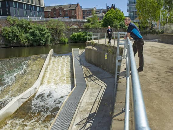 One of the new fish passes on the River Don