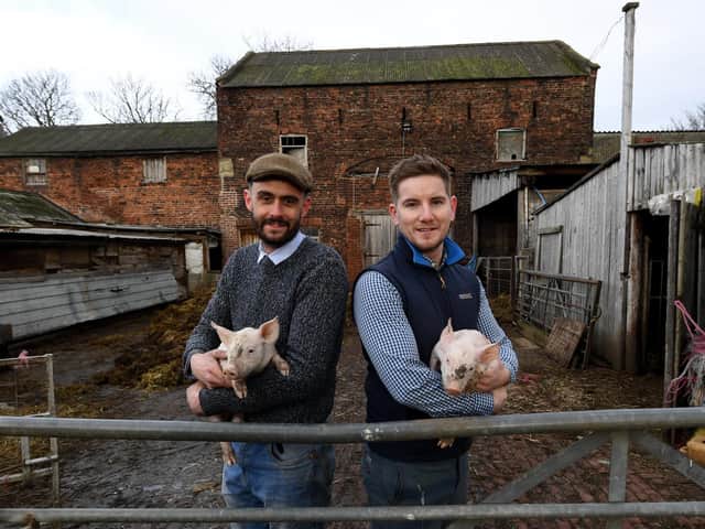 Josh Wright and Luke Andrew farm pigs and arable crops on the Methley Estate