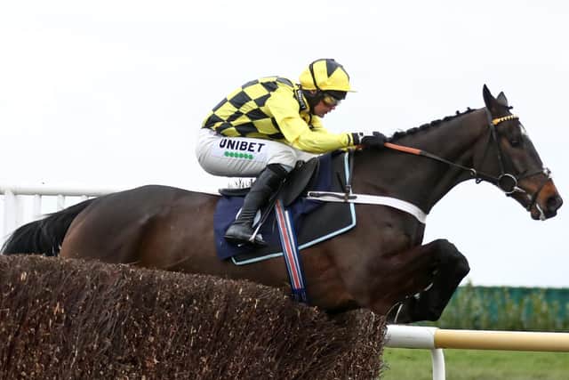 Shishkin ridden by Nico de Boinville clears a fence before going on to win the Irish Thoroughbred Marketing Lightning Novices' Chase at Doncaster.