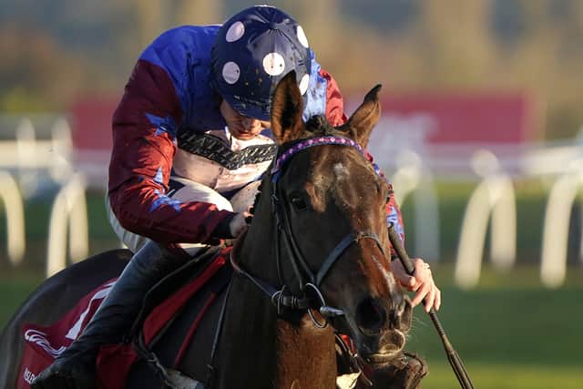 Former Stayers' Hurdle hero Paisley Park featured amongst the original entries for Cheltenham's Cleeve Hurdle.