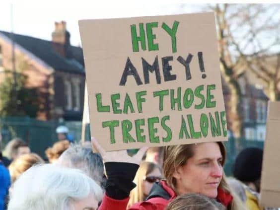 The council's tree-felling policy sparked mass protests.