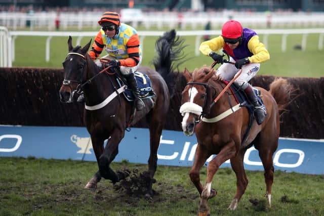 The hard-ridden Native River (right) and Might Bite clear the last in the 2018 Cheltenham Gold Cup.