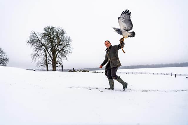 Charlie Heap, Director of the National Centre for Birds of Prey, with Zonda, a Grey Buzzard Eagle. 
Picture: James Hardisty
