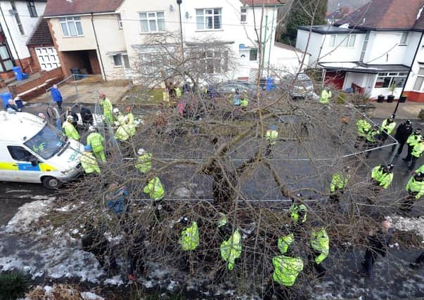Should there be a 'lessons learned' inquiry into the Sheffield tree felling scandal?