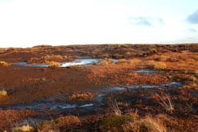 Undated handout photo issued by The Wildlife Trusts of degraded peatlands in Yorkshire. The Government must be more ambitious in protecting UK peatland or risk international embarrassment over its failure on climate action, wildlife campaigners have said.