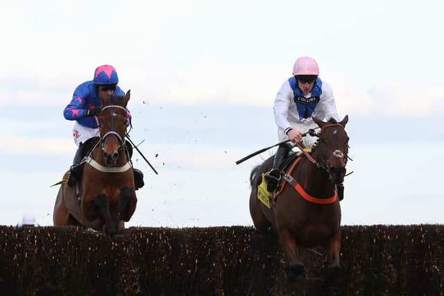This was Waiting Patiently (right) beating the now retired Cue Card in a thrilling renewal of the 2018 Ascot Chase..