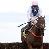 Waiting Patiently, the mount of Brian Hughes, will miss next month's Cheltenham Festival, says trainer Ruth Jefferson.