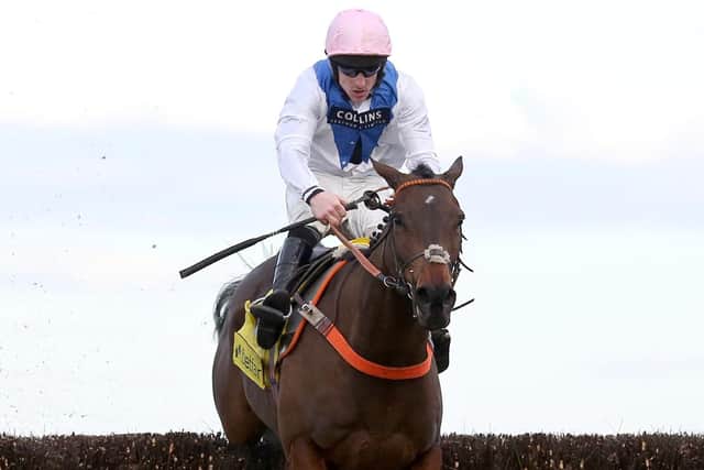 Waiting Patiently, the mount of Brian Hughes, will miss next month's Cheltenham Festival, says trainer Ruth Jefferson.