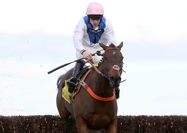 Waiting Patiently, the mount of Brian Hughes, will miss next month's Cheltenham Festival, says trainer Ruth Jefferson.