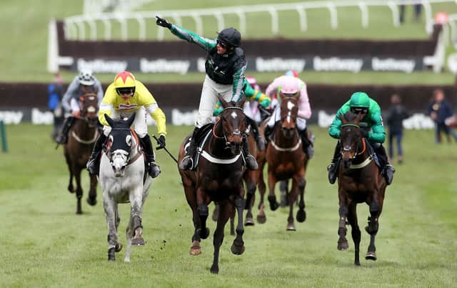 This was Nicky Henderson's Altior winning the 2019 Queen Mother Champion Chase under Nico de Boinville.