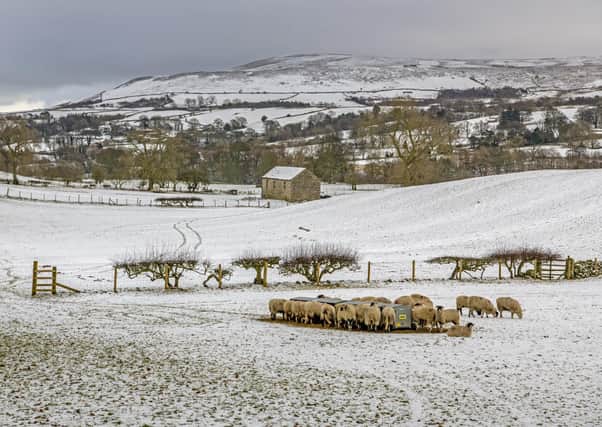 Plans to erect a new phone mast in Coverdale have prompted much debate. Photo: Tony Johnson.