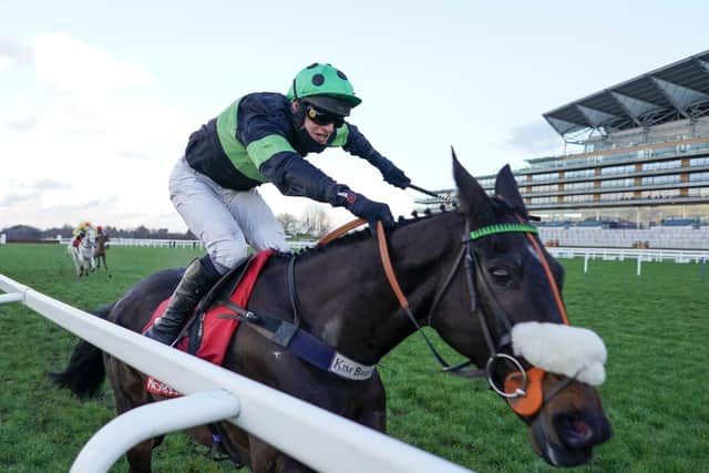 The Kim Bailey-trained First Flow remains on course for next month's Queen Mother Champion Chase.