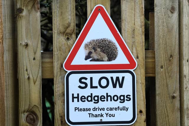 A sign outside Lucky Hedgehog Rescue  Picture: Jonathan Gawthorpe