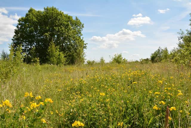 Billingham, where the brown argus is thriving. Image: Dr Martin Partridge