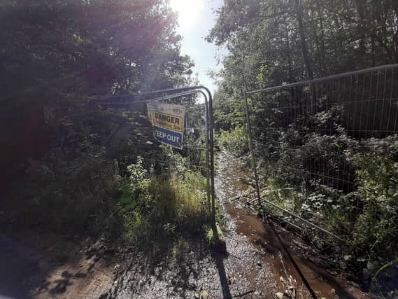 The woodland in Loxley which is subject to a controversial planning application