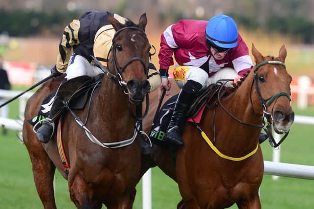 Bellshill and Ruby Walsh (left) outbattle Road To Respect in the 2019 Irish Gold Cup.