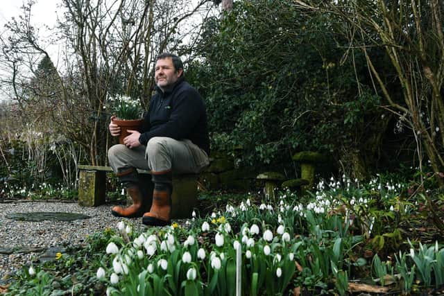 Michael Myers, horticulture lecturer at Craven College at home in Smelthouses, near Harrogate, where he has hundreds of varieties of snowdrops