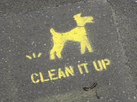 Dog fouling remains a source of contention across Yorkshire.