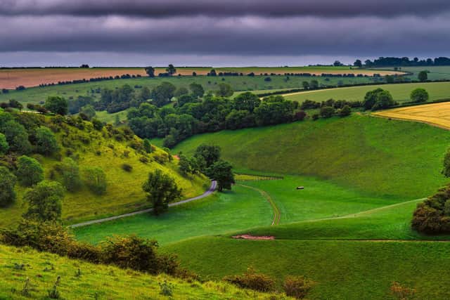 The unique landscape of the Wolds around Thixendale Picture James Hardisty