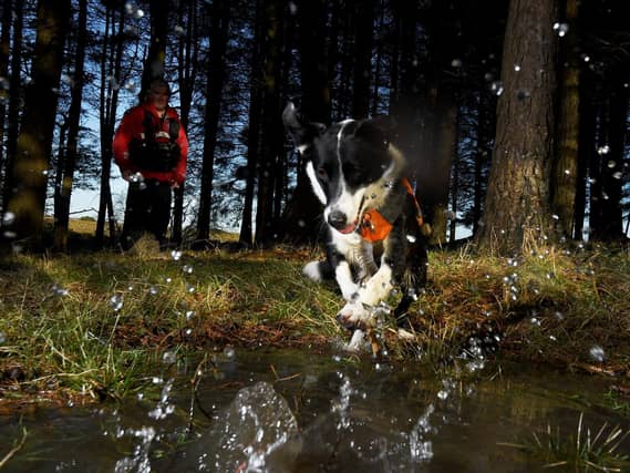 Tim Cain MBE with his dog Cassie. Picture by Simon Hulme