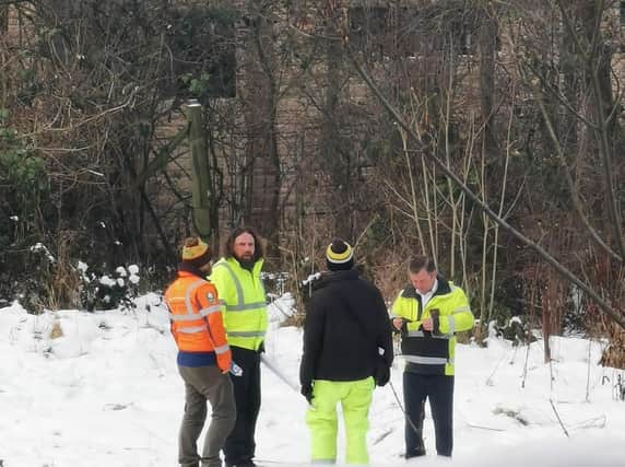 Workers were seen carrying out the felling of trees on the site
