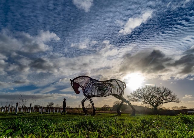 War Horse, commissioned by Featherstone Town Council to commemorate the 353 Soldiers who gave their live during World War 1, pictured in 2019. Picture: James Hardisty