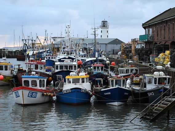Fishing boats are pictured moored in the harbour at Scarborough Picture: Oli Scarff/AFP via Getty Images