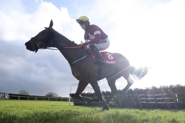 Tiger Roll, the 2018 and 2019 Randox Grand National iwnner, was a leg-weary last at Navan.