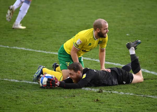 Foiled: Norwich City's Teemu Pukki shows his frustration after a shot is saved by Rotherham United goalkeeper Viktor Johansson.