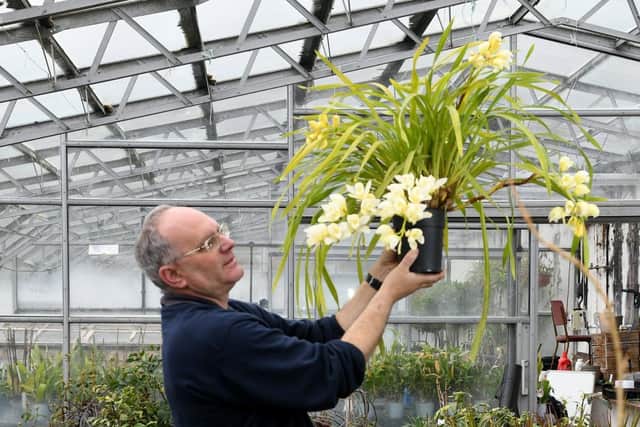 Head gardener Jeremy Palmer checking on a Cymbidium - one of the plants that would have decorated Burton Agnes Hall, but is now wintering in a heated greenhouse with other plants due to the house being closed for about a year due to Covid 19. Photo credit: JPIMediaResell/ Gary Longbottom