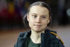 Climate change activist Greta Thunberg is a role model for young people.