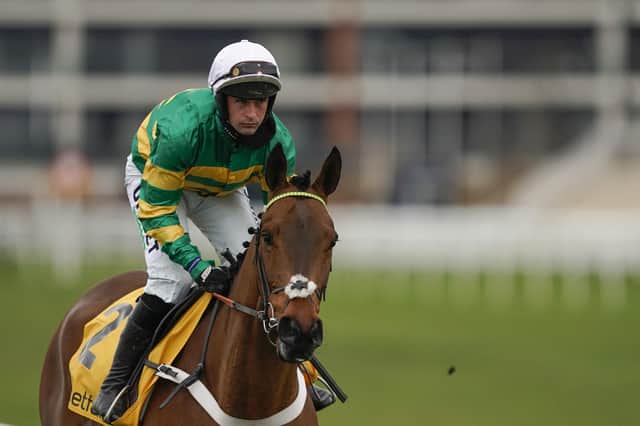 Champ and Nico de Boinville are leading contenders for next month's Cheltenham Gold Cup.